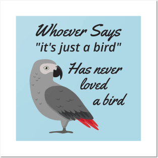 Just A Bird - African Grey Parrot Posters and Art